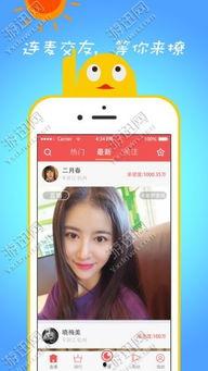 金鹰女生爆料视频播放下载,揭秘幕后真相 第3张 金鹰女生爆料视频播放下载,揭秘幕后真相 第3张