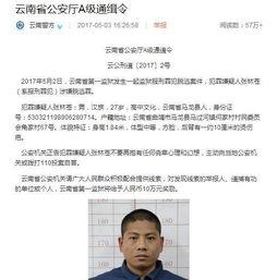 张林最新爆料视频,事件背后惊人真相  第1张