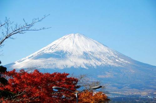 富士山爆料最新消息视频,揭秘神秘视频背后的惊人真相  第1张