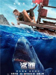 鲨滩完整版在线观看,惊心动魄的生存挑战，在线观看完整版